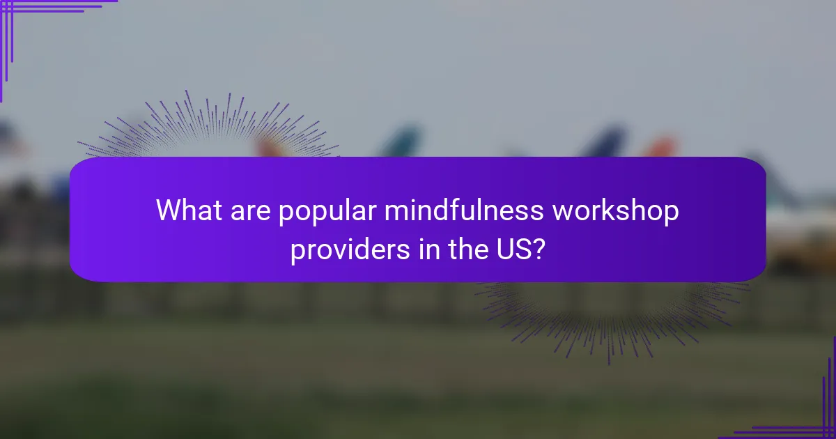 What are popular mindfulness workshop providers in the US?