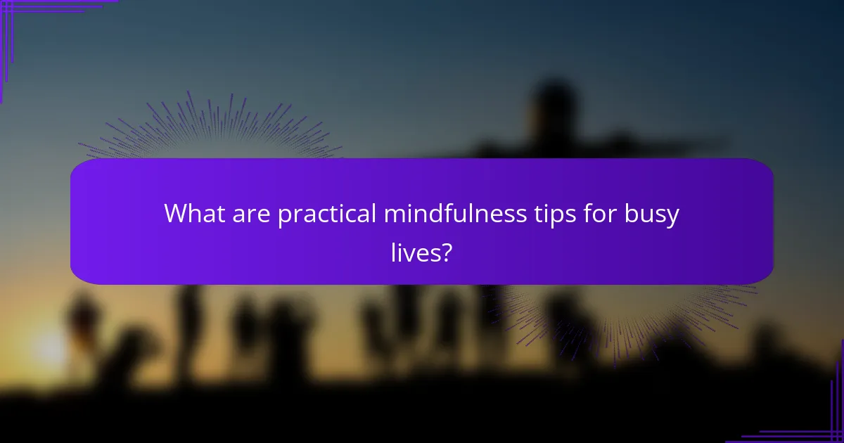 What are practical mindfulness tips for busy lives?