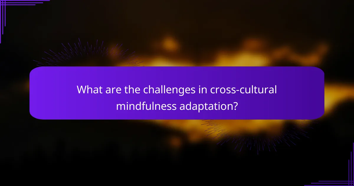 What are the challenges in cross-cultural mindfulness adaptation?