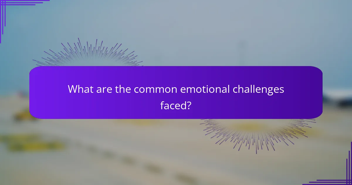 What are the common emotional challenges faced?
